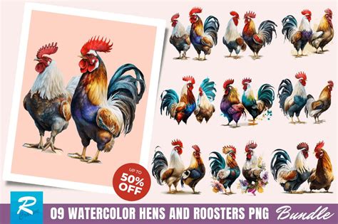 Watercolor Hens And Roosters Clipart Bundle So Fontsy