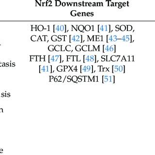 Nrf2 Downstream Target Genes And Non Downstream Target Genes