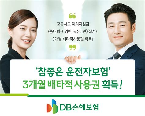 Db손해보험 참좋은 운전자보험 3개월 배타적사용권 획득 전자신문