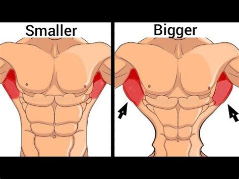 Exercises To Get V Shape Back Workout V Back In Back Workout