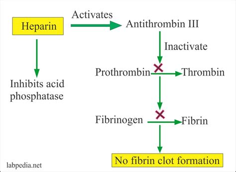 Heparin Mechanism Of Action Diagram