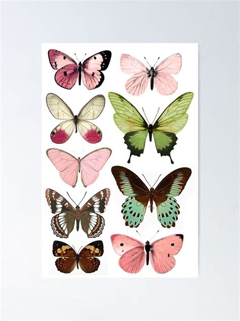 Butterfly Poster 6 Poster By Catpawe Redbubble