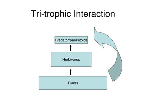 Ppt Manipulation Of Tritrophic Interactions For Ipm Powerpoint