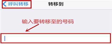 苹果手机如何设置来电转移 360新知