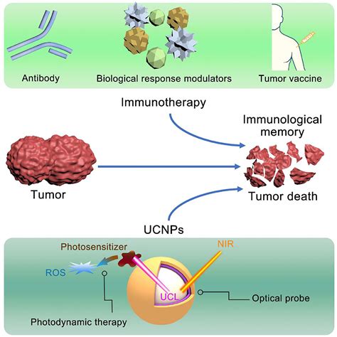 Frontiers Recent Advances On Rare Earth Upconversion Nanomaterials