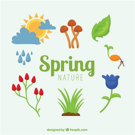 Free Vector Spring Element Collection