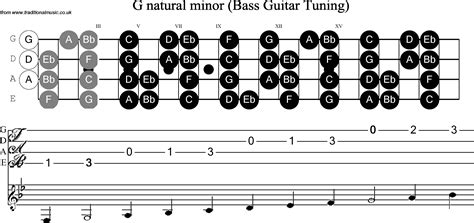 Bass Guitar Neck Notes Chart Guitar