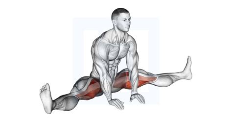 Sitting Wide Leg Adductor Stretch Guide Benefits And Form