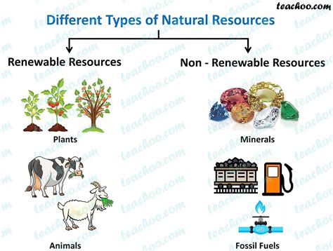 3 Types Of Resources