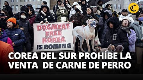 Corea Del Sur Aprueba Ley Para Prohibir El Comercio Y Consumo De Carne