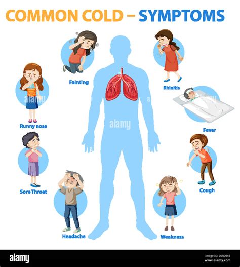 Common cold symptoms cartoon style infographic Stock Vector Image & Art - Alamy