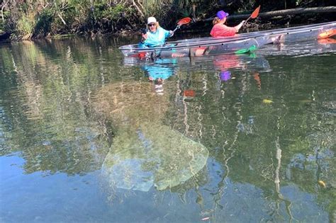 Get Up And Go Kayaking Weeki Wachee Spring Hill Tripadvisor