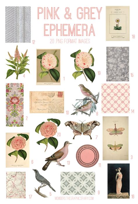 Farmers Market Images Kit Graphics Fairy Premium Membership Artofit