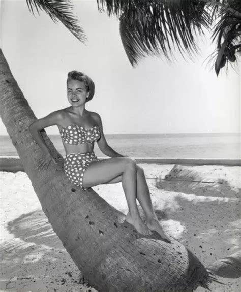 SHEREE NORTH BUSTY Leggy Barefoot Bikini Glamour Pin Up Original 8x10