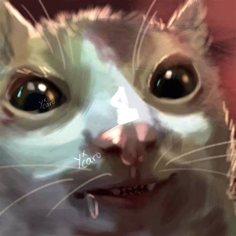 Stupid drooling cat meme drawing by RandomYx on DeviantArt