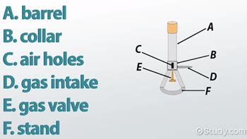 Parts Of A Bunsen Burner Labeled