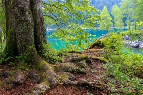 Solve Alpine Lake Jigsaw Puzzle Online With 330 Pieces