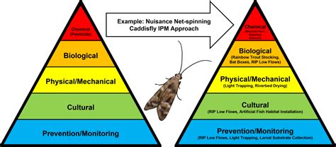 About Us Bullhead City Pest Abatement District