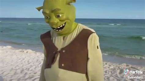 Shrek Moana Tik Tok Meme Youtube