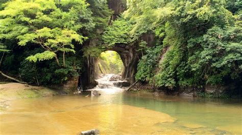 濃溝の滝（亀岩の洞窟） ちばなび 房総の歩きかた