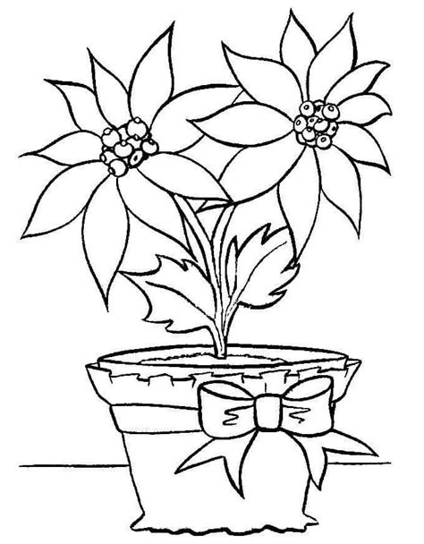 Flower Pot Coloring Page Aditaaafreen