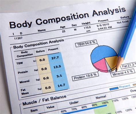 Understanding The Importance Of Body Composition LMG For Health