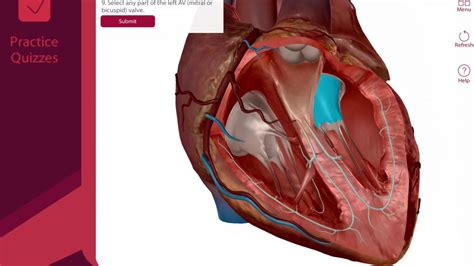 PROMO Anatomy Physiology Visible Body YouTube