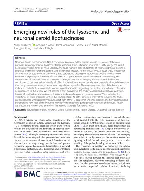 Pdf Emerging New Roles Of The Lysosome And Neuronal Ceroid Lipofuscinoses