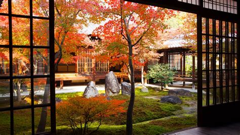 建仁寺 紅葉 祇園の隠れたもみじの名所 京都もよう Kyoto Moyou