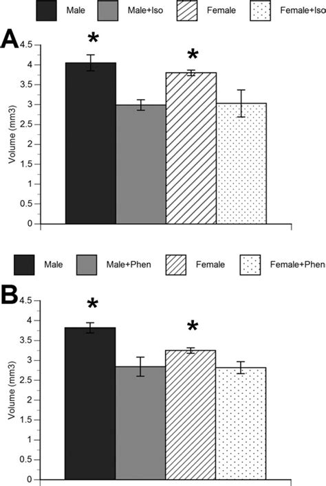 Response To Neonatal Anesthesia Effect Of Sex On Anatomical And Behavioral Outcome Neuroscience