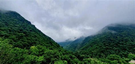 Premium Photo | Dilijan nature