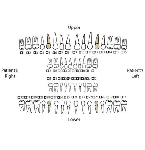 Oral Surgery Referrals The Center For Oral Surgery