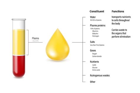 Composition And Function Of Plasma Diagram Test Tubes And Layers Of