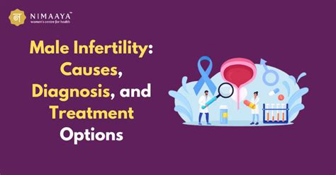 Male Infertility Causes Diagnosis And Treatment Options