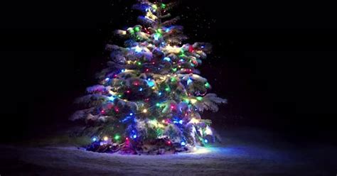 Christmas Tree with Festive Lights at Night 4k, Stock Video - Envato ...