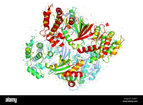 Proteine Globulari Immagini E Fotografie Stock Ad Alta Risoluzione Alamy