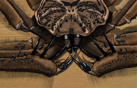 Whip Spider By B1gQu1nnBFG On DeviantArt Spider Whip Army Boot