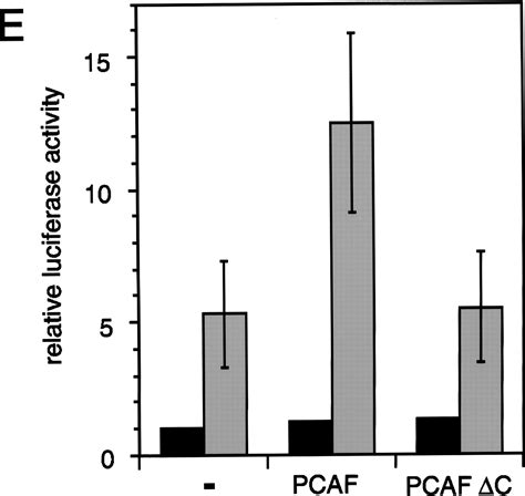 The Histone Acetylase Pcaf Is A Nuclear Receptor Coactivator