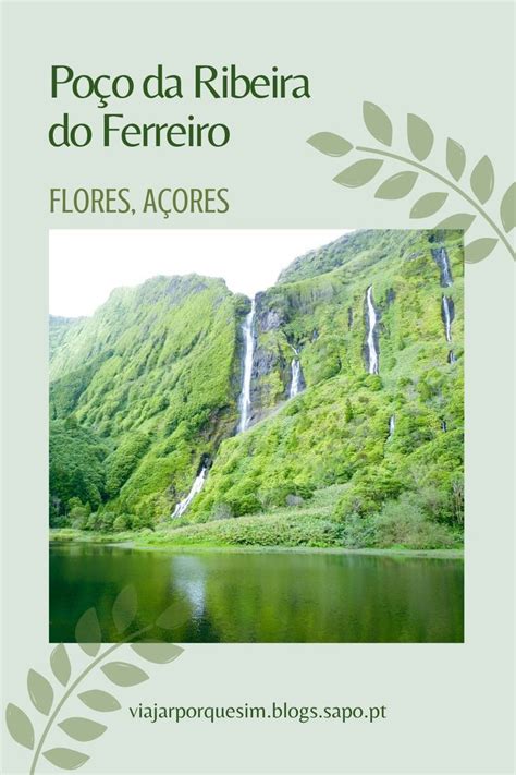 Poço da Ribeira do Ferreiro Flores Açores Ilha Túnel de árvore