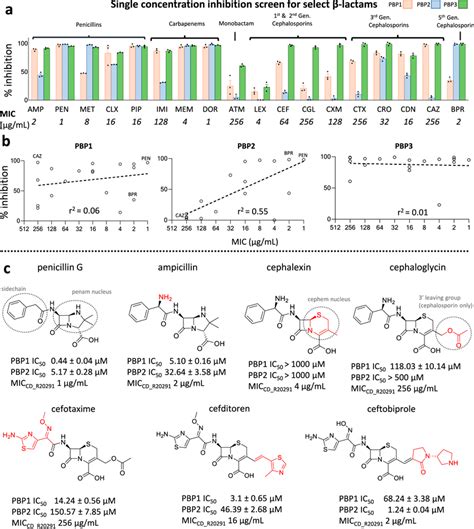 Biochemical And Cellular Inhibition Profile Of β Lactam Antibiotics