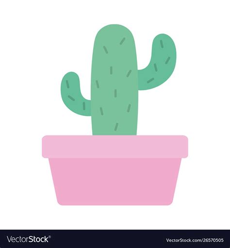 Exotic Cactu Plant In Square Ceramic Pot Vector Image