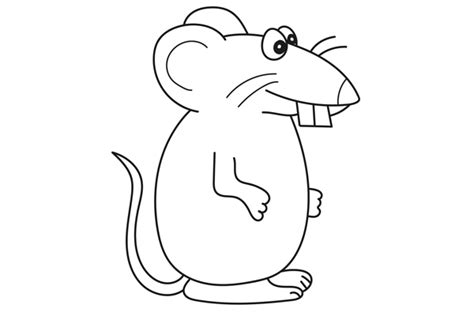 Coloriage Rat Imprimer Pdf Dessin De Rat Colorier Gratuit