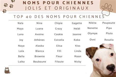 Comment Trouver Le Nom D un Chien Sur Une Photo Pix Communauté MCMS