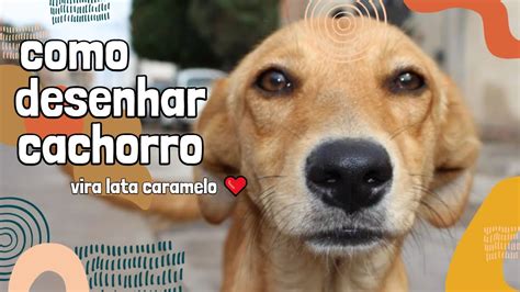 Como Desenhar Cachorro Vira Lata Caramelo Jhotromundo Youtube