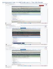 Assignment Lab Is Netlab Lab The Osi Model Docx Assignment Lab