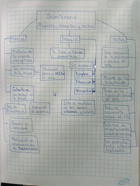 Elabora Un Organizador Gr Fico De Logros Y Desaf Os En Nuestra Regi N