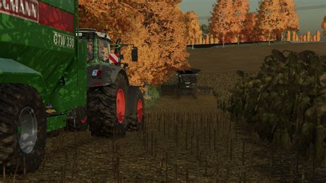 Ls Sonnenblumen Dreschen Mit Fendt Ideal T Und Fendt Vario Mit