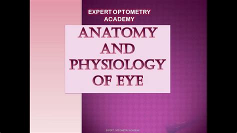 Mcq On Anatomy And Physiology Of Eye Mcq For Optometry Exam Youtube