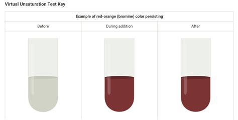 Solved Report Reactions Of Hydrocarbons Solubility Tests Chegg