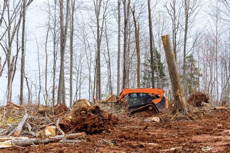 Garra Excavadora Durante La Tala De Bosques Para La Construcci N De